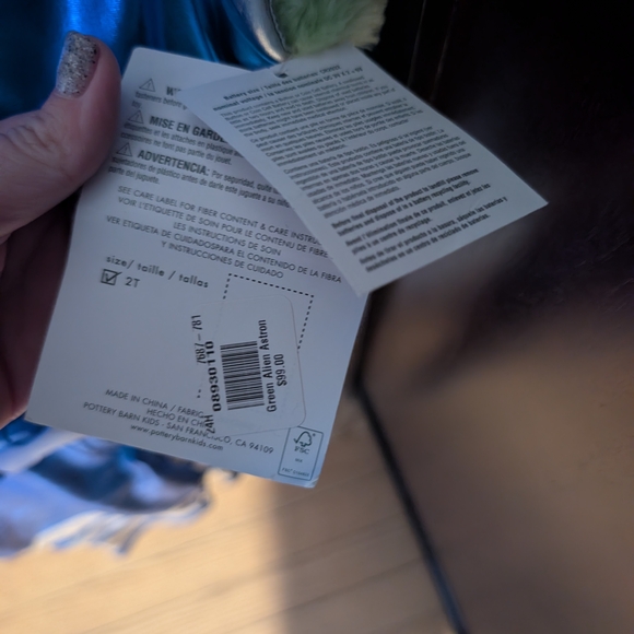 Pottery Barn Kids Blue and Silver Alien Astronaut Costume - Picture 4 of 7